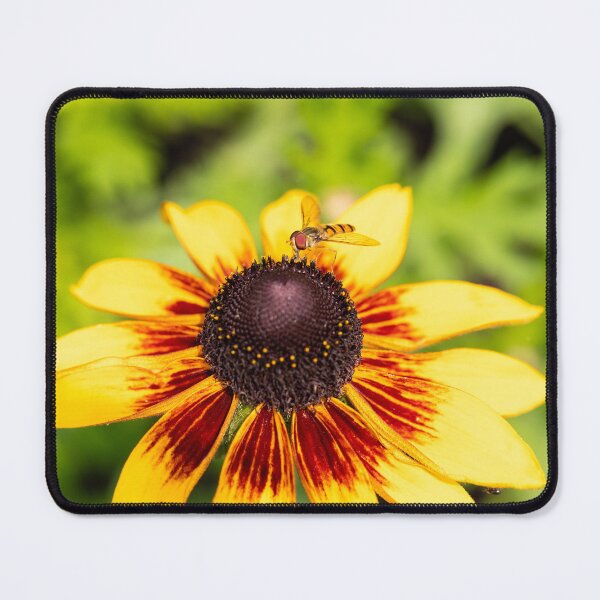Item preview, Hoverfly en Rudbeckia designed and sold by Tanya C  Smith.
