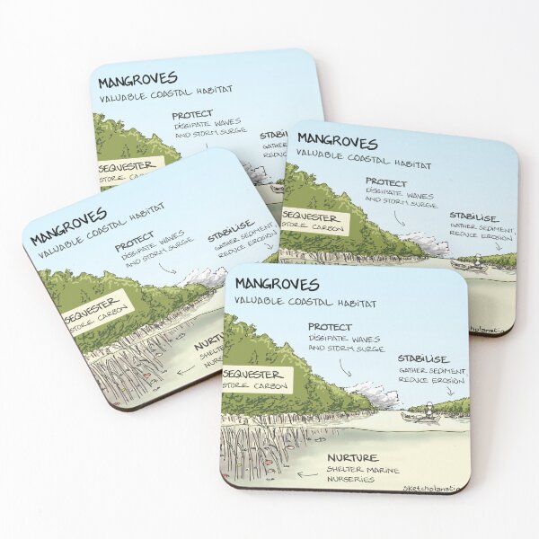 Item preview, Mangroves designed and sold by Sketchplanations.