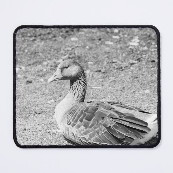 Item preview, Graylag Goose Black And White designed and sold by Tanya C  Smith.