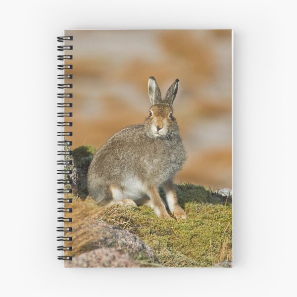 Item preview, Mountain Hare designed and sold by Jamie  Green.