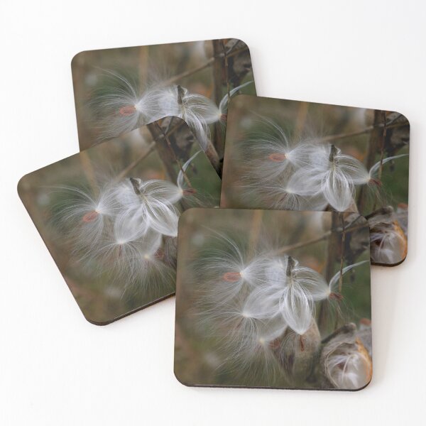 Item preview, Five Seeds for the Wind designed and sold by Wayne King.