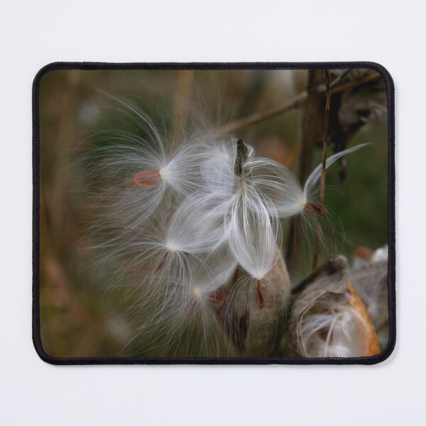 Item preview, Five Seeds for the Wind designed and sold by Wayne King.