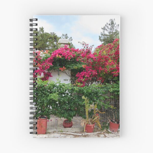 Item preview, The House of the Flowers.Thassos 2023 20 designed and sold by Jouko Lehto Photography.