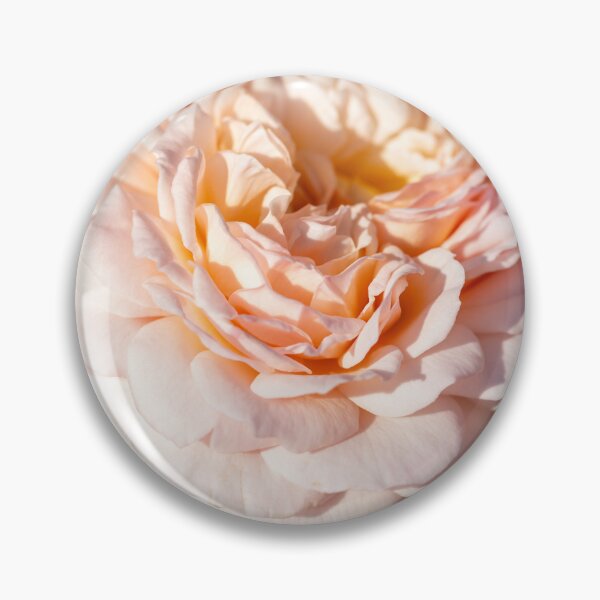 Item preview, An English Rose designed and sold by Tanya C  Smith.