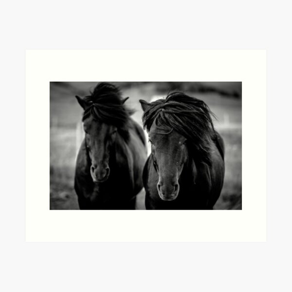 Item preview, Icelandic Horses, 2016 designed and sold by DeigoRusso.