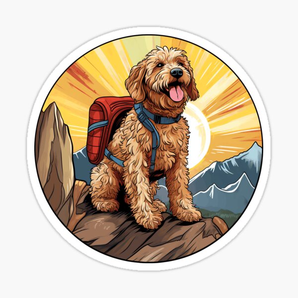 Goldendoodle hiking outlet