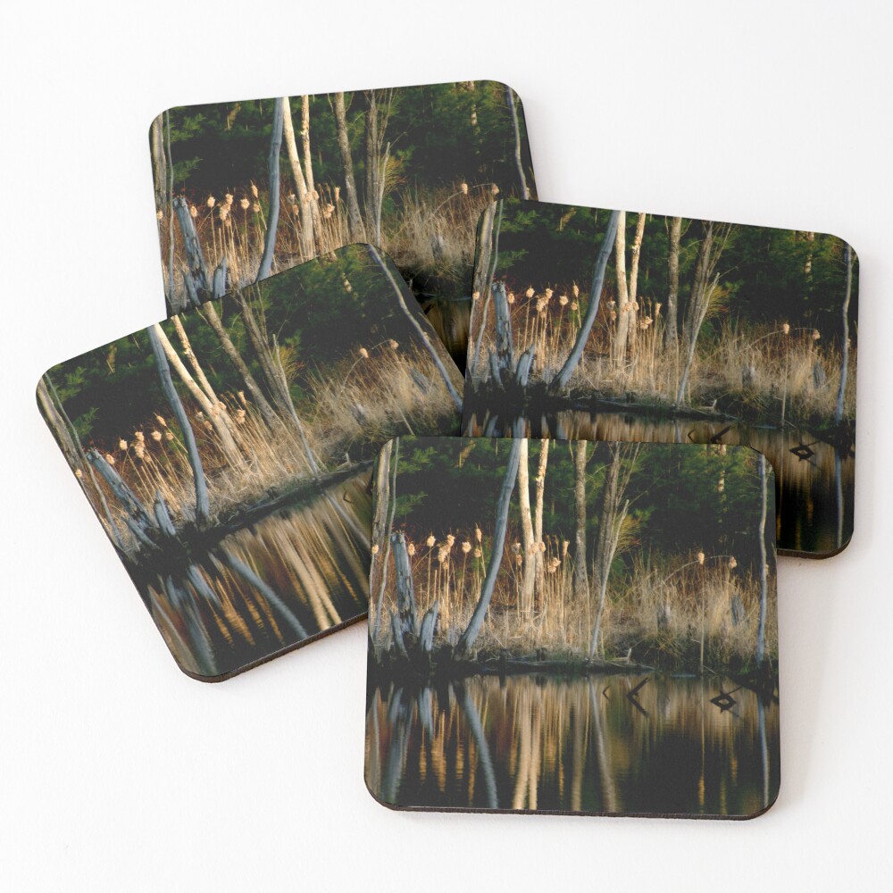 Item preview, Coasters (Set of 4) designed and sold by waynedking.