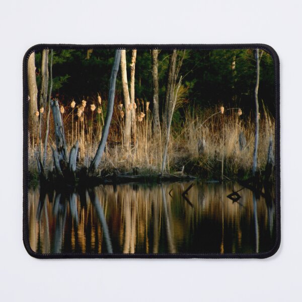 Item preview, Spring Reflections designed and sold by Wayne King.