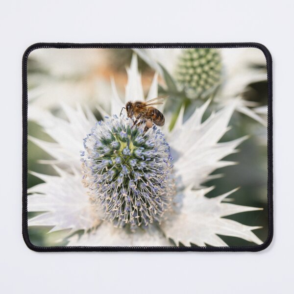 Item preview, Honeybee On Sea Holly designed and sold by Tanya C  Smith.