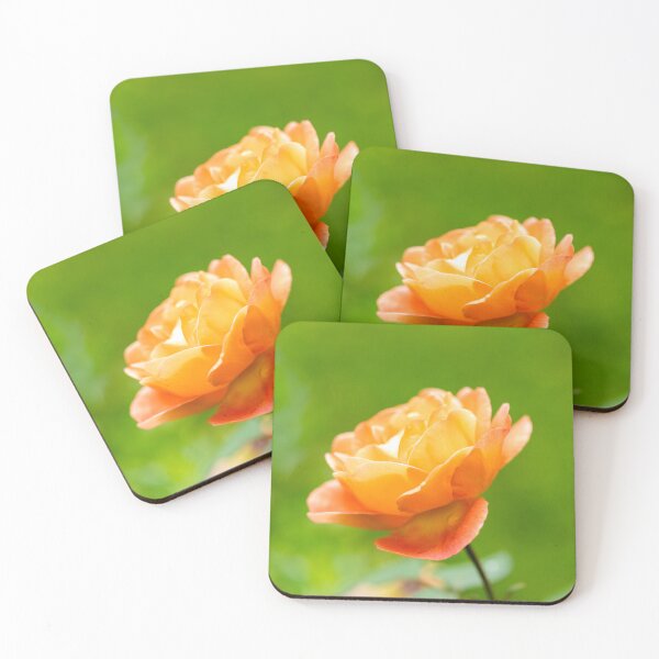 Item preview, Delicate Orange Rose designed and sold by Tanya C  Smith.