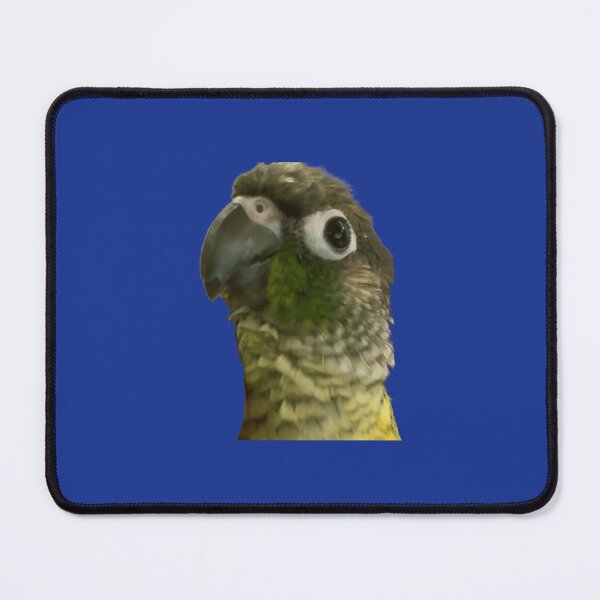 Item preview, Green Cheek Conure designed and sold by vkruhveci22.