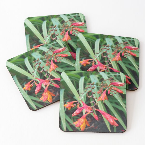 Item preview, Beautiful summer flowers designed and sold by Fionatravels.