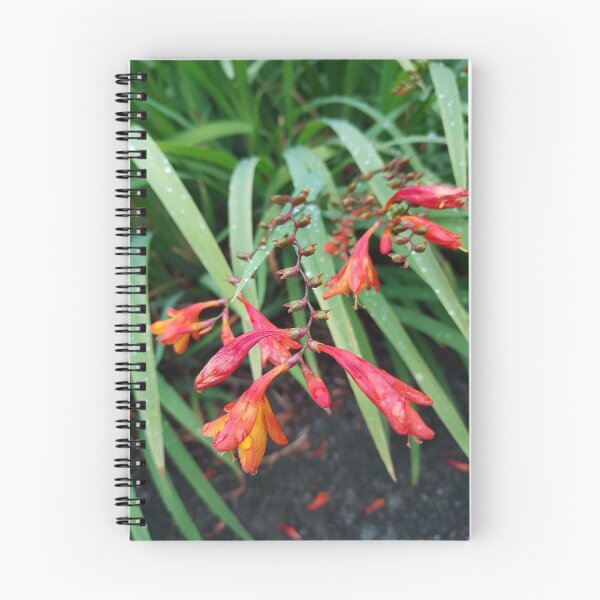 Item preview, Beautiful summer flowers designed and sold by Fionatravels.