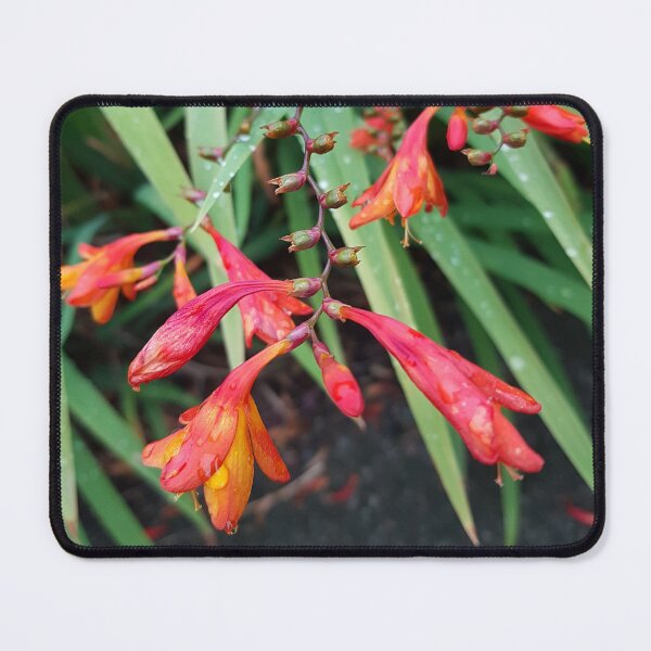 Item preview, Beautiful summer flowers designed and sold by Fionatravels.