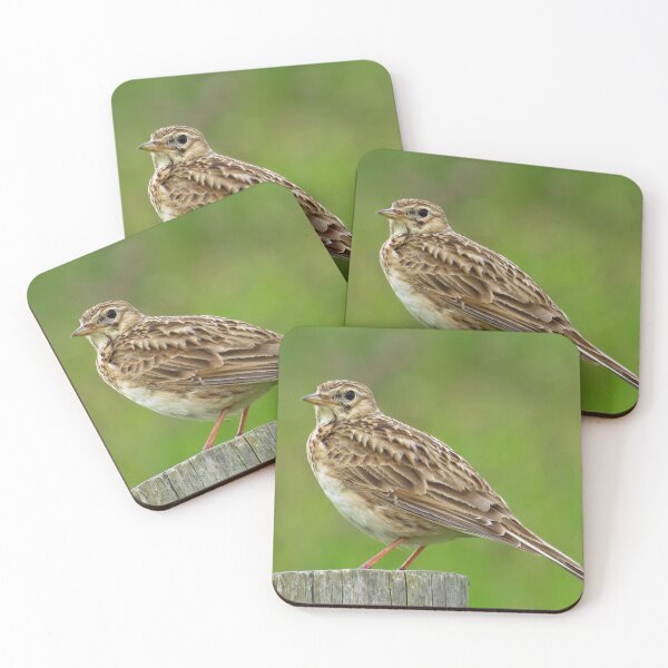 Item preview, Eurasian Skylark on fence  designed and sold by Zoe Cox.