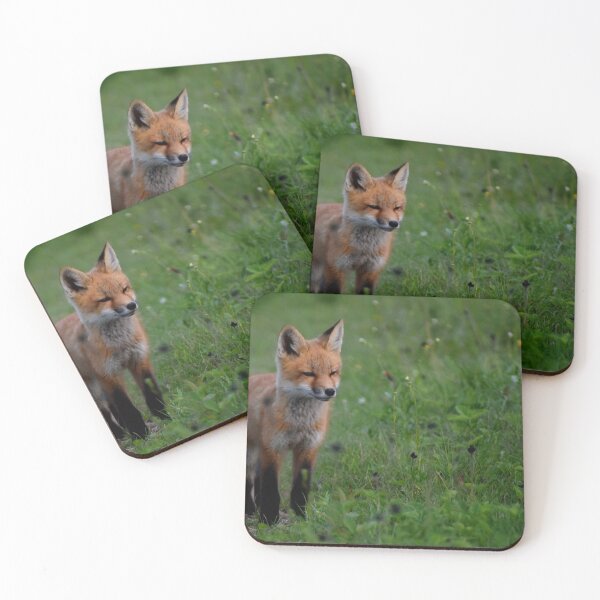 Item preview, A young fox in the spring designed and sold by Claude Laprise.