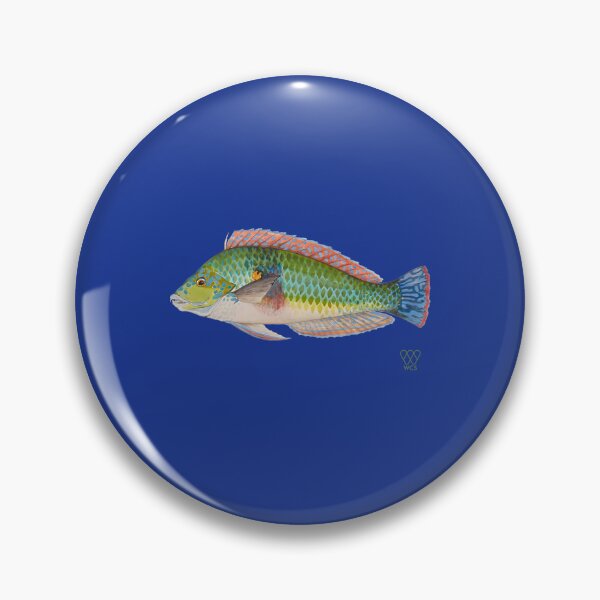 Item preview, Green Parrot Fish Hardcover Journal 	 designed and sold by vkruhveci22.