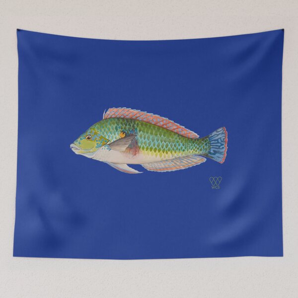 Item preview, Green Parrot Fish Hardcover Journal 	 designed and sold by vkruhveci22.