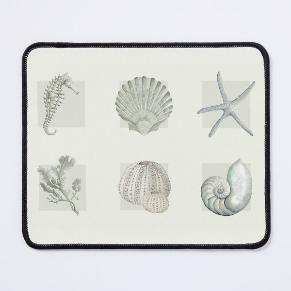 Item preview, Coastal collection in cream designed and sold by LisaLeQuelenec.