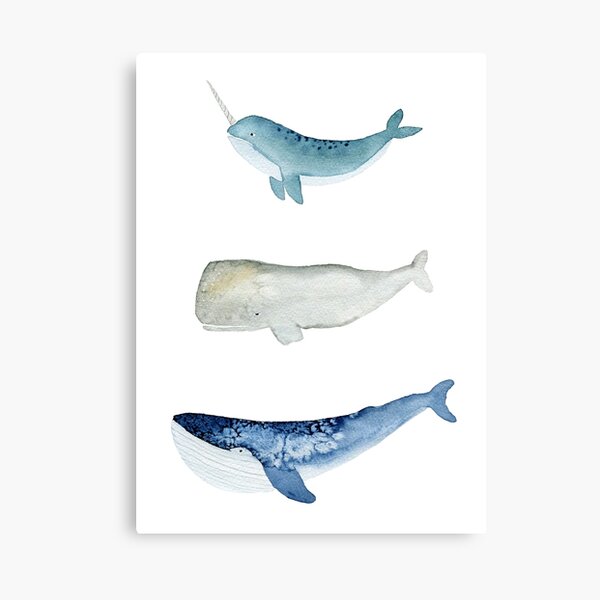 Whale Squad Canvas Print