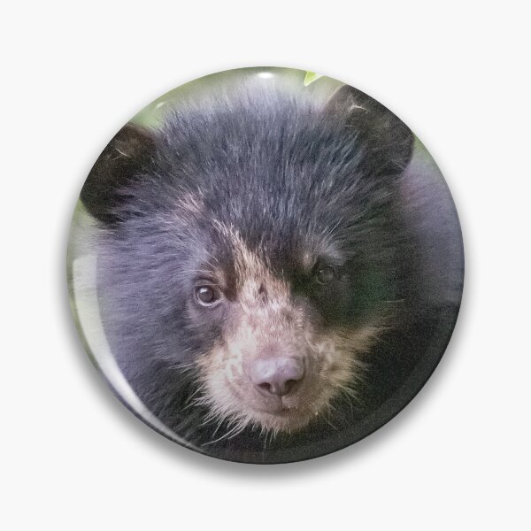 Item preview, Andean Bear Cub at the National Zoo designed and sold by Zoo and Nature Photography by Karie.