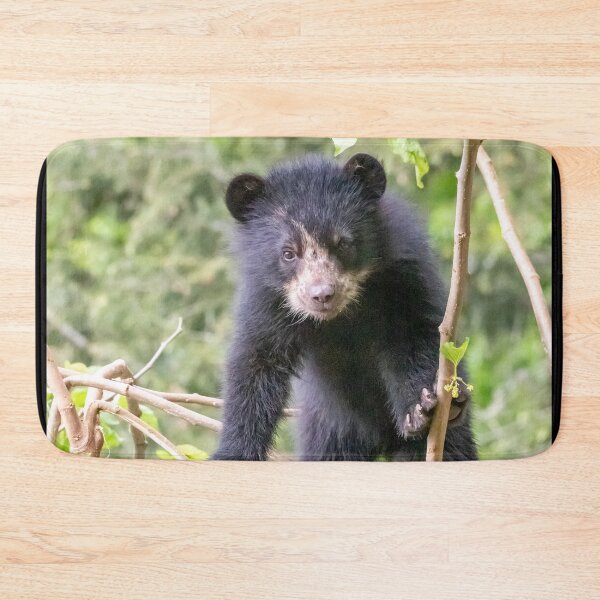 Item preview, Andean Bear Cub at the National Zoo designed and sold by Zoo and Nature Photography by Karie.