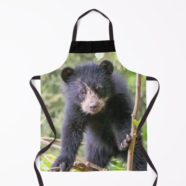 Item preview, Andean Bear Cub at the National Zoo designed and sold by Zoo and Nature Photography by Karie.