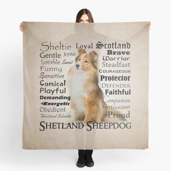 IV. Temperament and Personality Traits of the Shetland Sheepdog