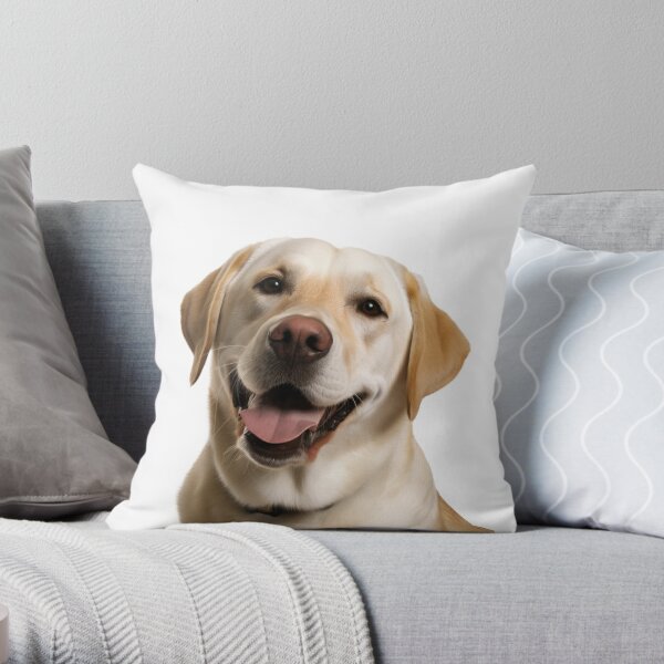 Labrador cushion clearance covers