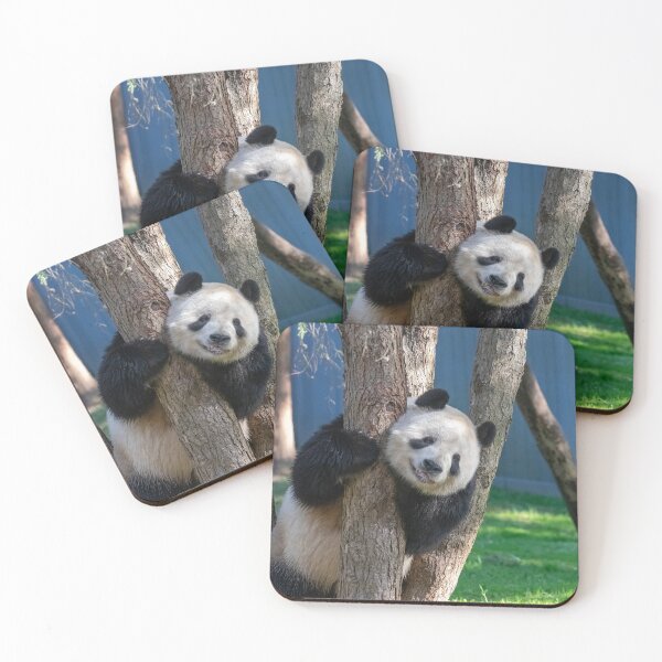 Item preview, Giant Panda Tian Tian at the National Zoo designed and sold by Zoo and Nature Photography by Karie.