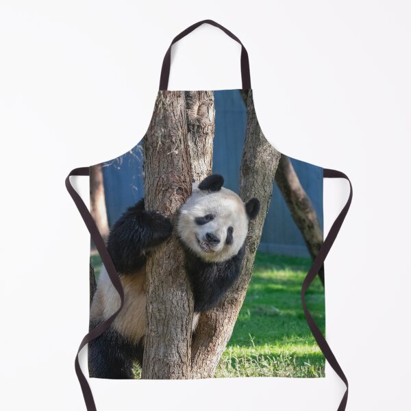 Item preview, Giant Panda Tian Tian at the National Zoo designed and sold by Zoo and Nature Photography by Karie.