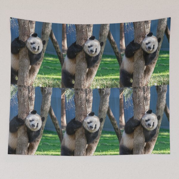 Item preview, Giant Panda Tian Tian at the National Zoo designed and sold by Zoo and Nature Photography by Karie.