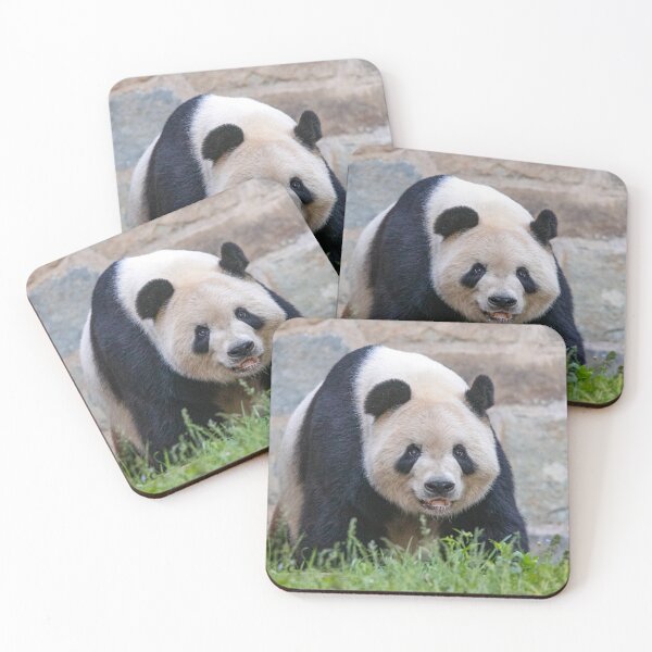Item preview, Giant Panda Tian Tian at the National Zoo designed and sold by Zoo and Nature Photography by Karie.
