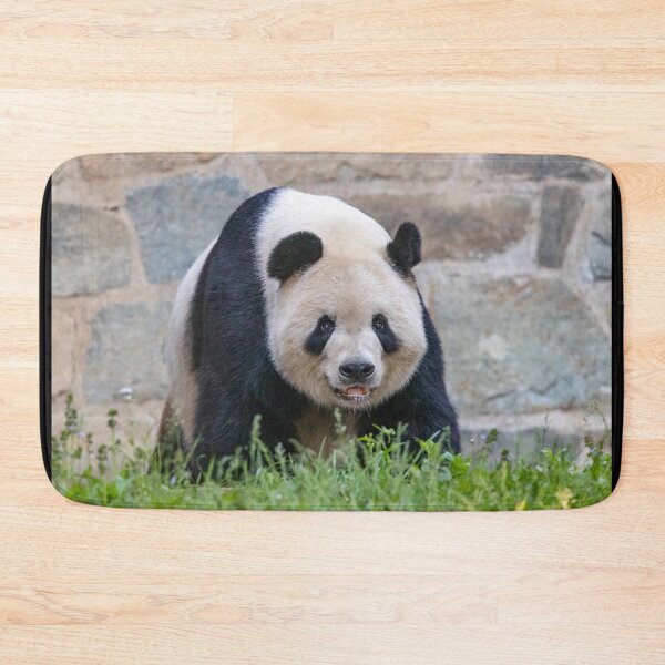 Item preview, Giant Panda Tian Tian at the National Zoo designed and sold by Zoo and Nature Photography by Karie.