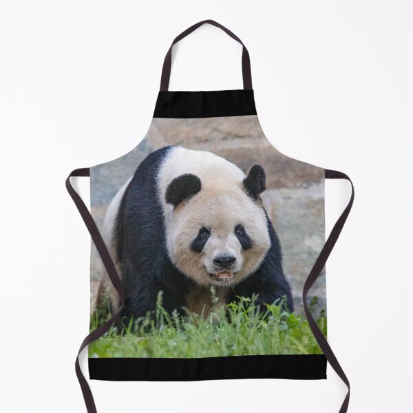Item preview, Giant Panda Tian Tian at the National Zoo designed and sold by Zoo and Nature Photography by Karie.
