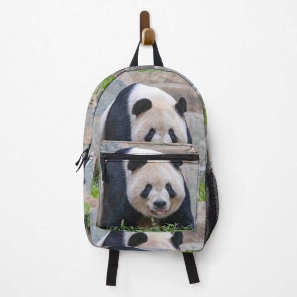 Item preview, Giant Panda Tian Tian at the National Zoo designed and sold by Zoo and Nature Photography by Karie.