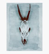 Floating roe deer skull Photographic Print