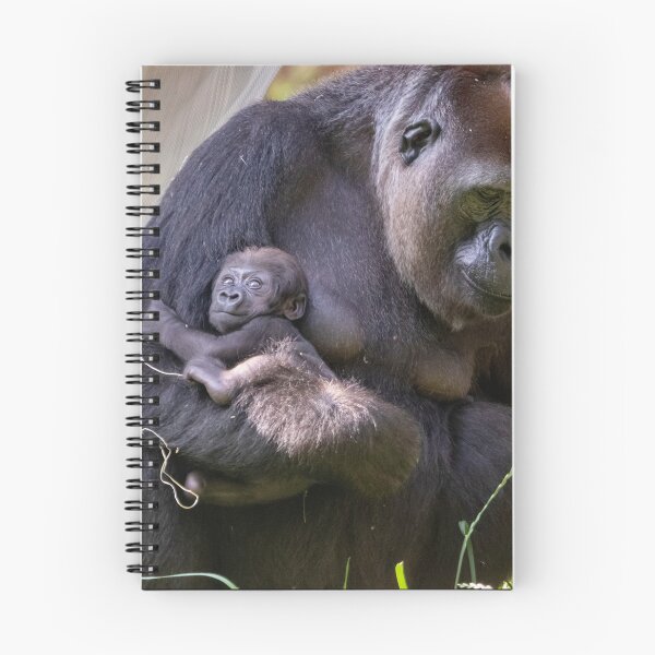 Item preview, Gorilla Calaya with Baby Zahra at the National Zoo designed and sold by Zoo and Nature Photography by Karie.