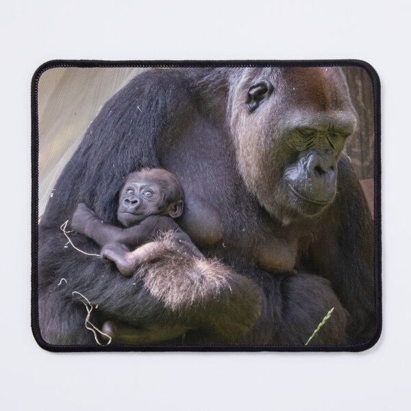 Item preview, Gorilla Calaya with Baby Zahra at the National Zoo designed and sold by Zoo and Nature Photography by Karie.