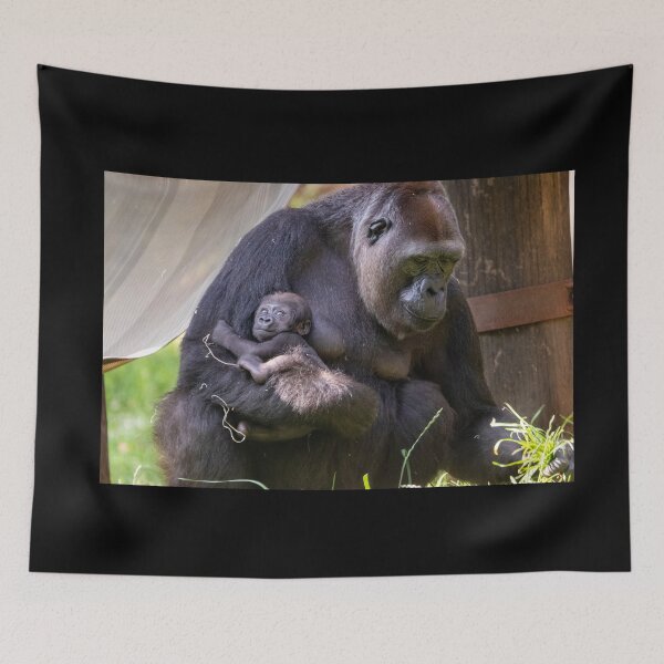 Item preview, Gorilla Calaya with Baby Zahra at the National Zoo designed and sold by Zoo and Nature Photography by Karie.