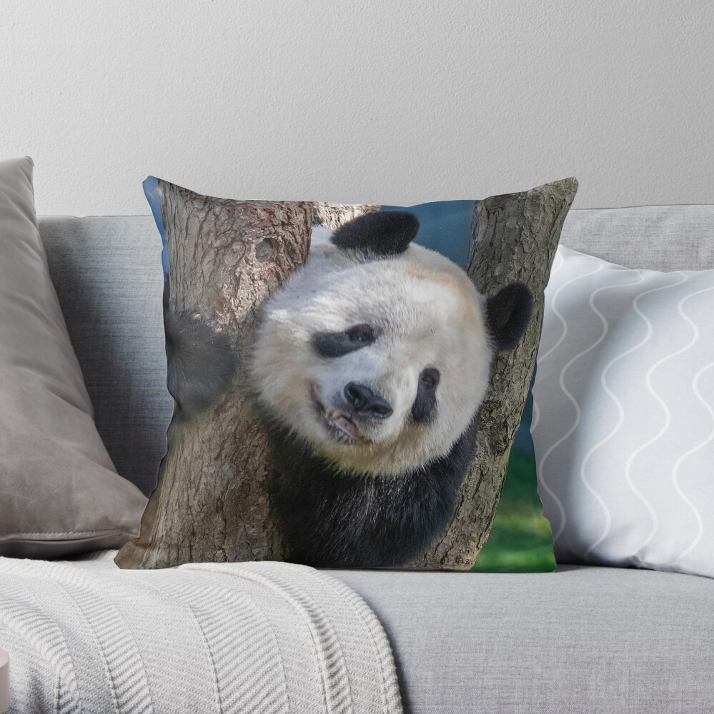 Panda throw clearance pillow