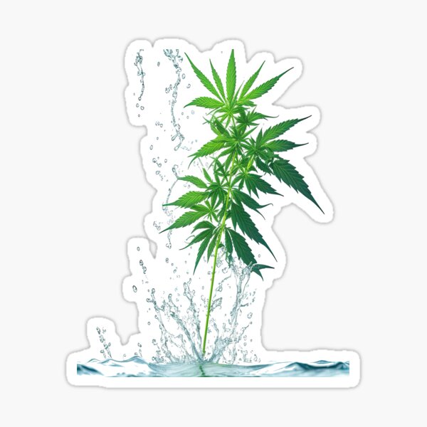 Cannabis Designs Stickers for Sale