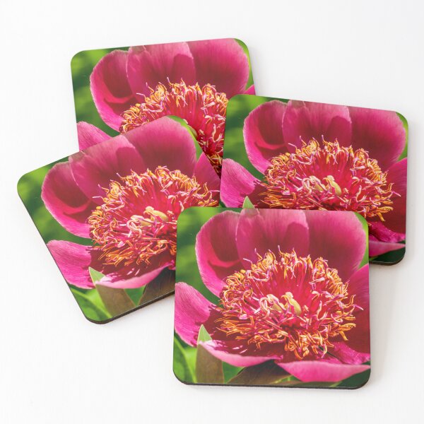 Item preview, Bright Pink Peony Flower designed and sold by TinyDinoDesigns.
