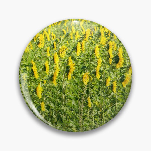 Item preview, Field of Sunflowers from Behind designed and sold by Georgia Mizuleva.