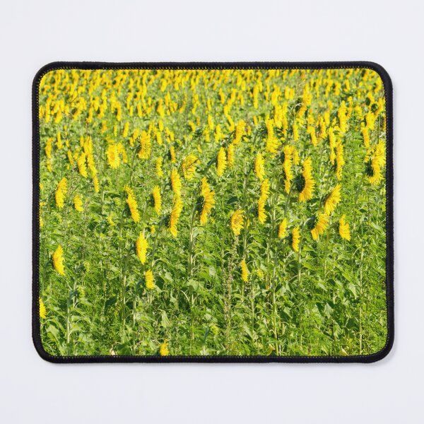 Item preview, Field of Sunflowers from Behind designed and sold by Georgia Mizuleva.