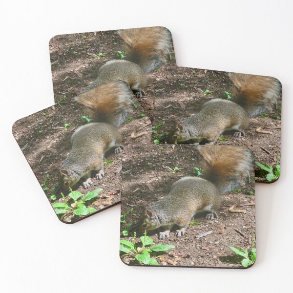 Item preview, Squirrel designed and sold by Shulie1.