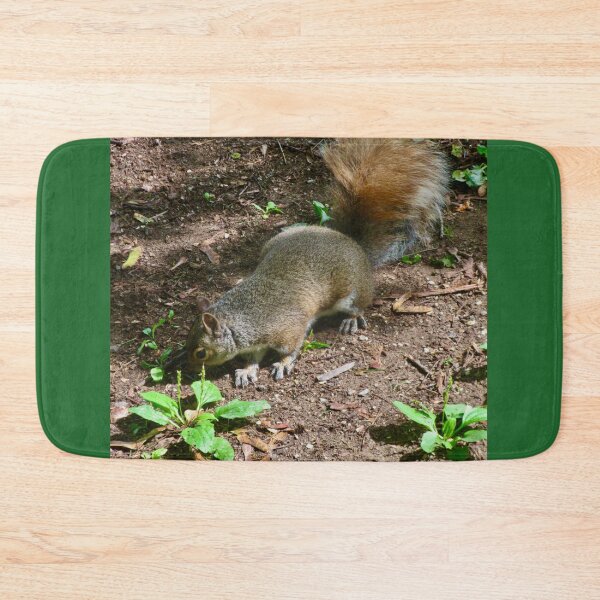 Item preview, Squirrel designed and sold by Shulie1.