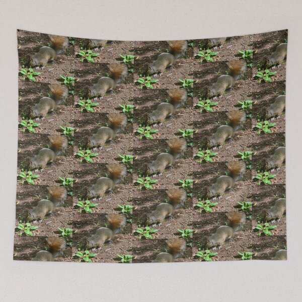 Item preview, Squirrel designed and sold by Shulie1.