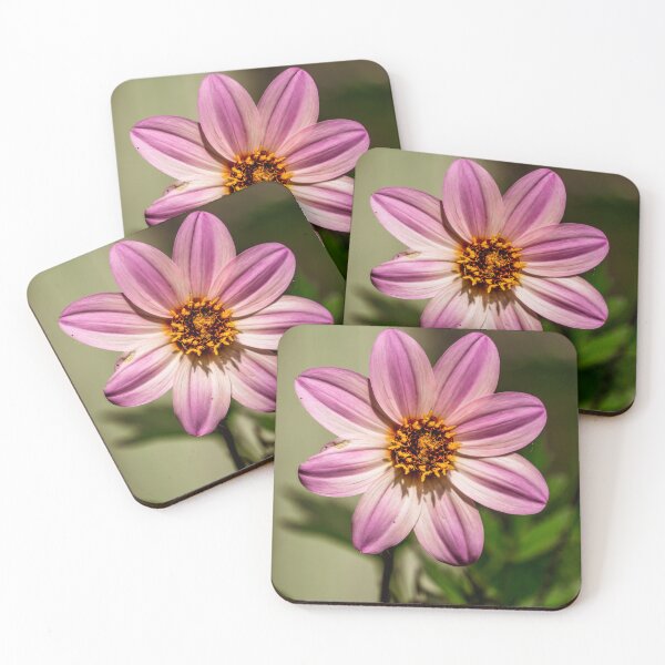 Item preview, Stripped Garden Cosmos Flower designed and sold by TinyDinoDesigns.