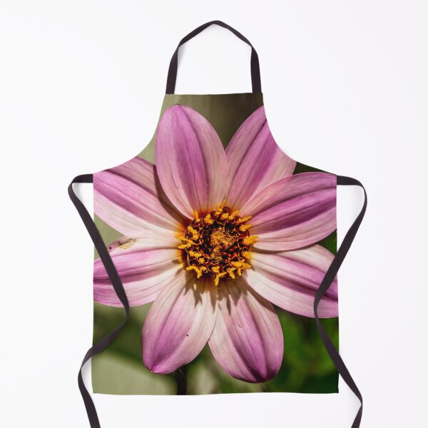 Item preview, Stripped Garden Cosmos Flower designed and sold by TinyDinoDesigns.